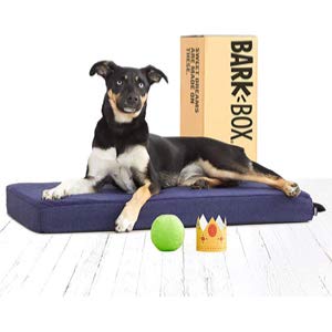 BarkBox Dog Bed