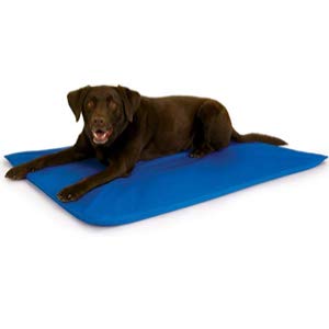 Best Cooling Dog Bed