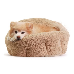 dog beds for older dogs