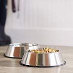 Stainless Steel Metal Bowl For Dogs