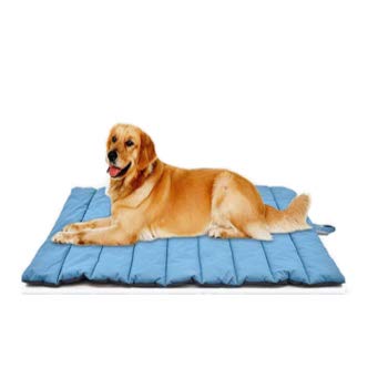 Cheerhunting Dog Mattress