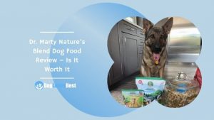 Dr. Marty Nature’s Blend Dog Food Review – Is It Worth It Featured Image