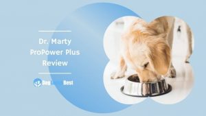 Dr. Marty ProPower Plus Review Featured Image