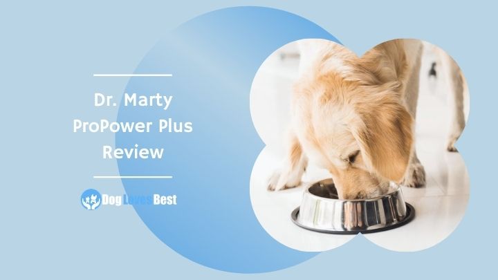 dr marty goldstein supplements reviews