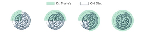 Transitioning to Dr. Marty Dog Food