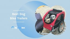 Best Dog Bike Trailers Featured Image