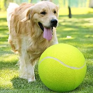 Banfeng Giant 9.5″ Dog Tennis Ball with Inflating Needles