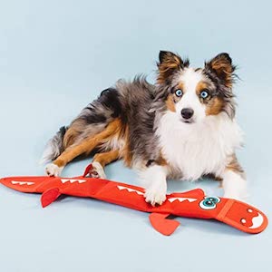 Best fire hose dog toys