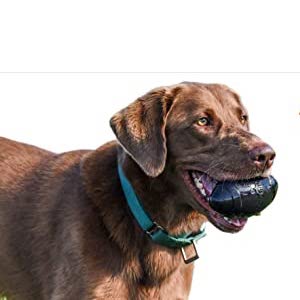 Indestructible Football Chew Toy – Tested by Pitbulls & other Aggressive Chewers