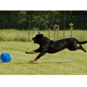 Indestructible Tough Ball for Herding