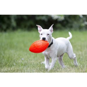 Jolly Pets Football Dog Toy