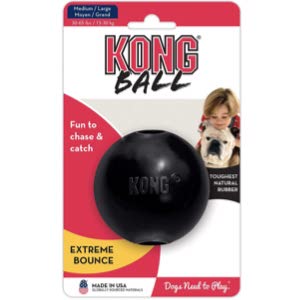 KONG Extreme Ball Dog Toy