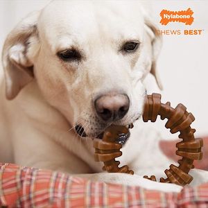 Nylabone Power Chew Large Dog Toy