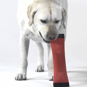 Outward Hound FireHose Dog Toss & Fetch Toy