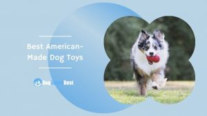 Best American-Made Dog Toys Featured Image