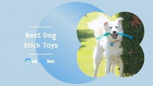 Best Dog Stick Toys Featured Image