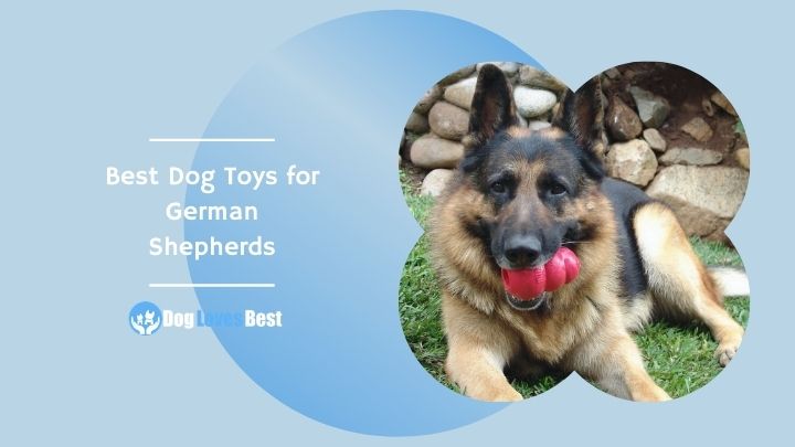 Best Dog Toys for German Shepherds Featured Image