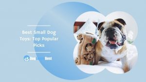 Best Small Dog Toys: Top Popular Picks Featured Image