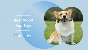 Best Wood Dog Toys Featured Image