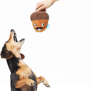 Barkbox Stuffed Plush Squeaker Toys and Balls for Dogs