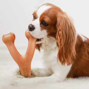 Benebone Durable Dog Chew Toy