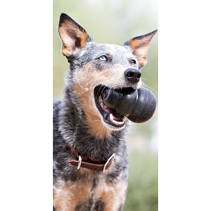 Best Dog Toys For German Shepherds