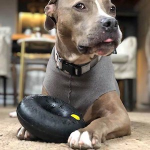 Best Indestructible Dog Toys For Aggressive Chewers