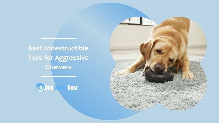 Best Indestructible Toys for Aggressive Chewers Featured Image