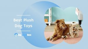 Best Plush Dog Toys Featured Image