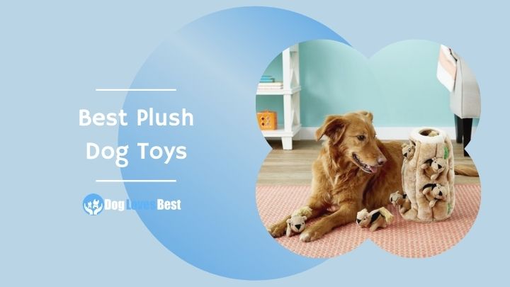 Best Plush Dog Toys Featured Image