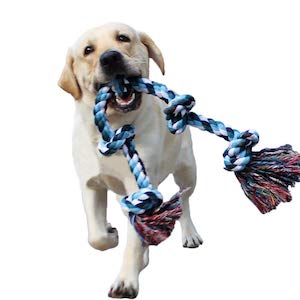 BLUEISLAND Tug of War Dog Toy