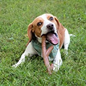 Chew King Up North Bacon – Flavored Nylon Dog Stick