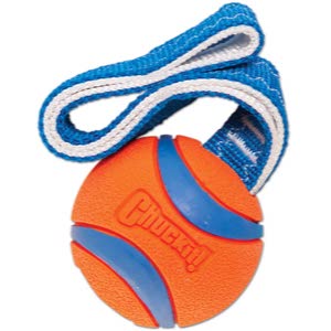 Chuckit! Ultra Tug Fun Dog Toy