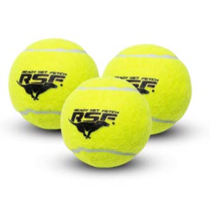 Franklin Pet Supply 3 Pack Dog Tennis Balls