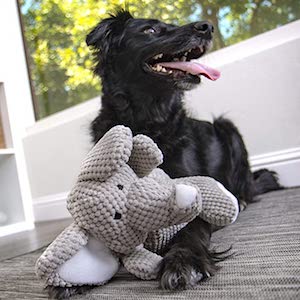 go Dog Checkers Elephant