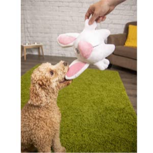goDog Animals Durable Plush Dog Toys with Squeakers