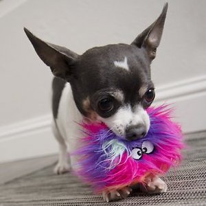 GoDog Furballz Chew Guard Squeaky Plush Dog Toy