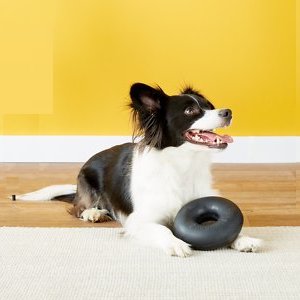 Goughnuts Maxx and Buster Pro 50 Rings Dog Chew Toys
