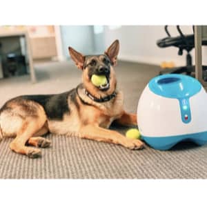 iFetch Interactive Ball Launchers for Dogs