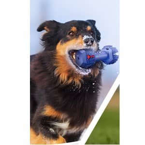 IOKHEIRA Dog Chew Toys for Aggressive Chewers