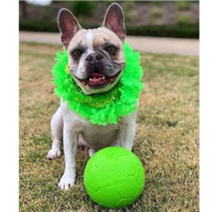 Jolly Pets Soccer Ball USA Made Dog Toy