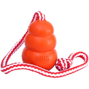 KONG Aqua Dog Toy