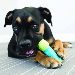 KONG – CoreStrength Bone Dog Dental Chew Toy