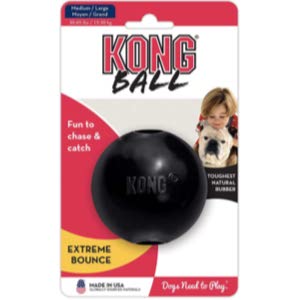 KONG Extreme Ball Dog Toy