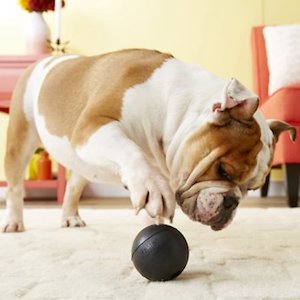 KONG Extreme Ball Dog Toy