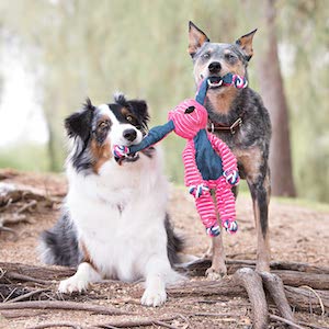 KONG Floppy Knots Dog Toy