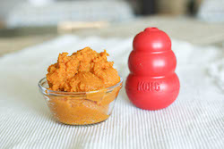 KONG Pumpkin Puppy Recipe