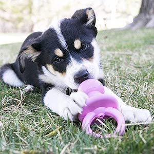 KONG – Puppy Binkie Treat Dispensing Dog Toy