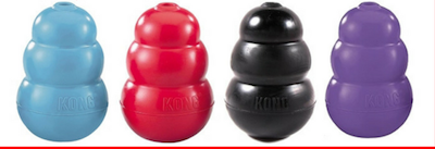 Kong toy variants