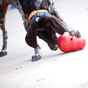 KONG Wobbler Food Dispensing Dog Toy